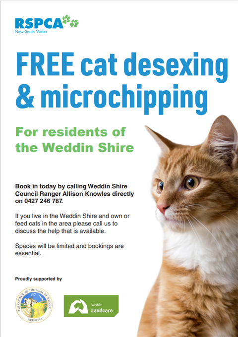 Free Cat desexing in Weddin Shire