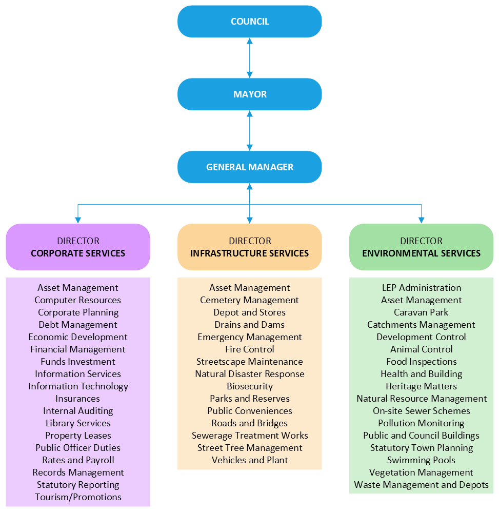 Our organisation's structure and distribution of operations