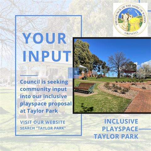 Input for Inclusive Playspace at Taylor Park